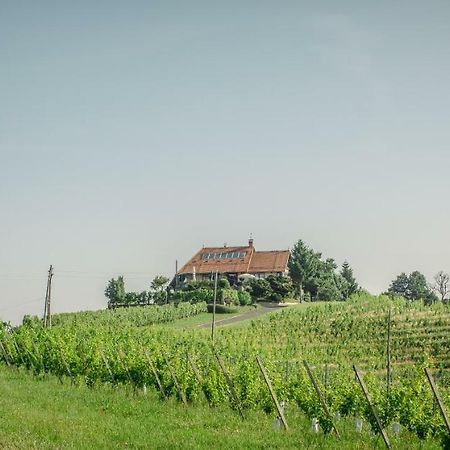 Taverna & Wine Jeruzalem Ivanjkovci 외부 사진