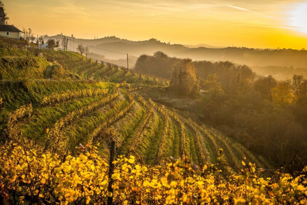 Taverna & Wine Jeruzalem Ivanjkovci 외부 사진