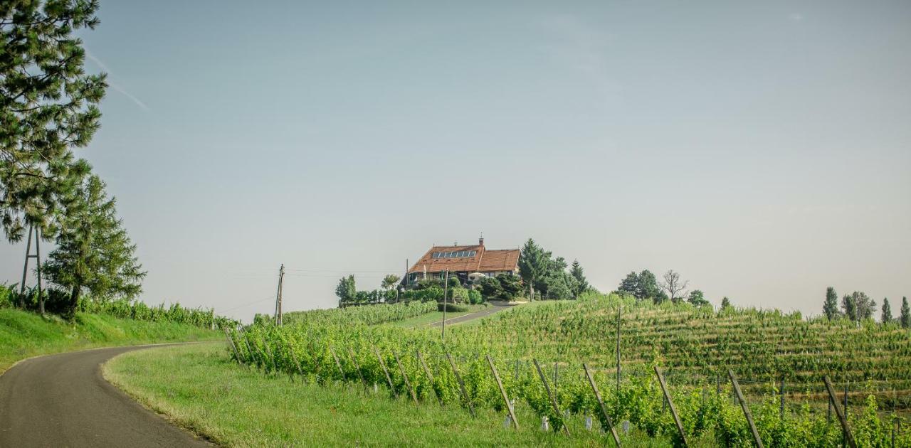 Taverna & Wine Jeruzalem Ivanjkovci 외부 사진